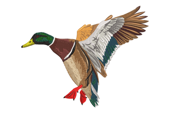 Majestic Flying Mallard Duck